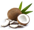 Kokosöl Cocos nucifera