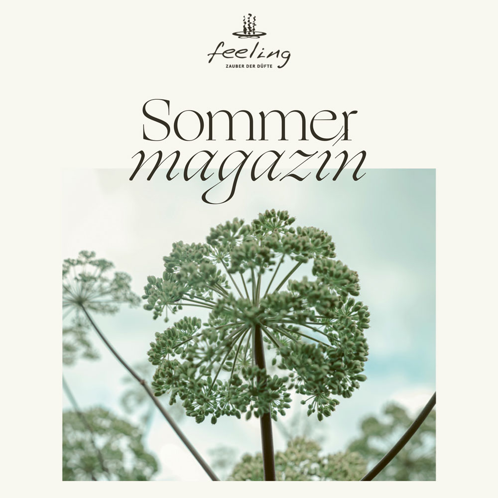 feeling Sommermagazin 1